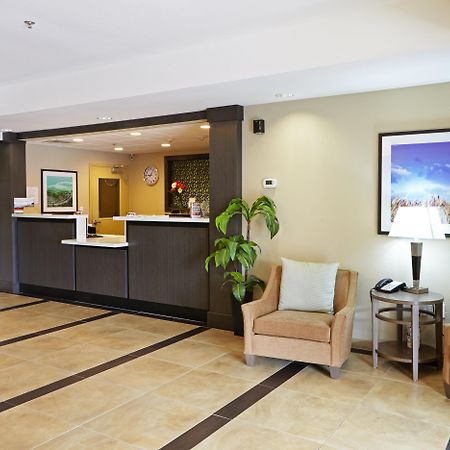 Candlewood Suites San Antonio Airport By Ihg מראה חיצוני תמונה