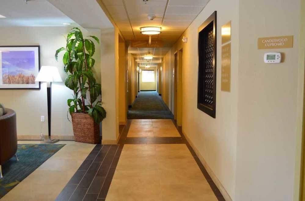 Candlewood Suites San Antonio Airport By Ihg מראה חיצוני תמונה
